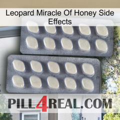 Leopard Miracle Of Honey Side Effects 07